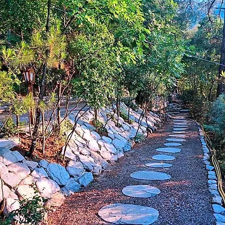 Dimitra 4* Potamia (Thasos)