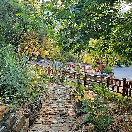 Dimitra Potamia (Thasos)