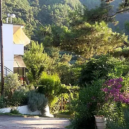 Dimitra 3* Potamia (Thasos)