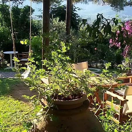 Dimitra Hotel