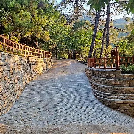 Hotel Dimitra 3*