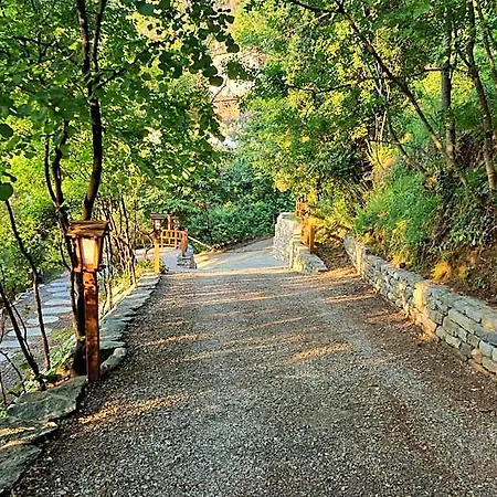 Dimitra Hotel